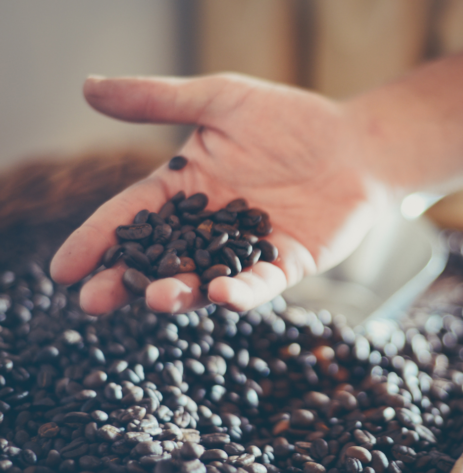 Slowtown Coffee Roasters - Swakopmund Photos 9
