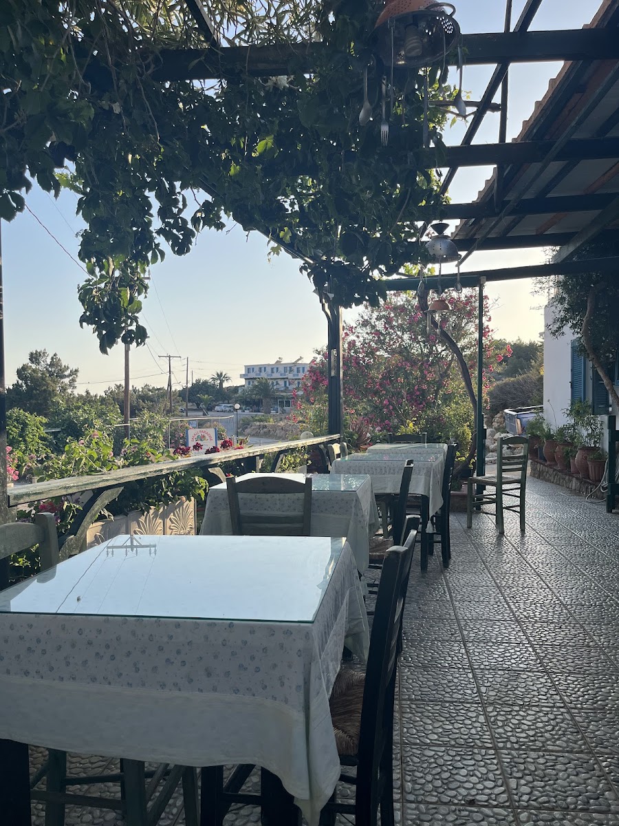 Small Paradise Restaurant Photos 2