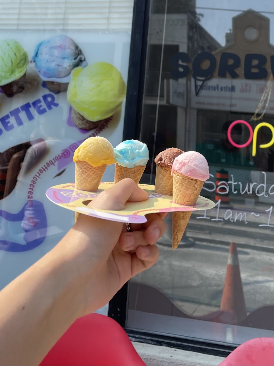 Sorbetter Ice Cream Photos 9