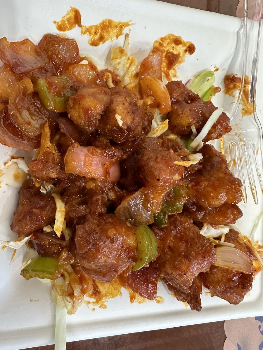 Spicy Village Indian Cuisine & Cafe Photos 9