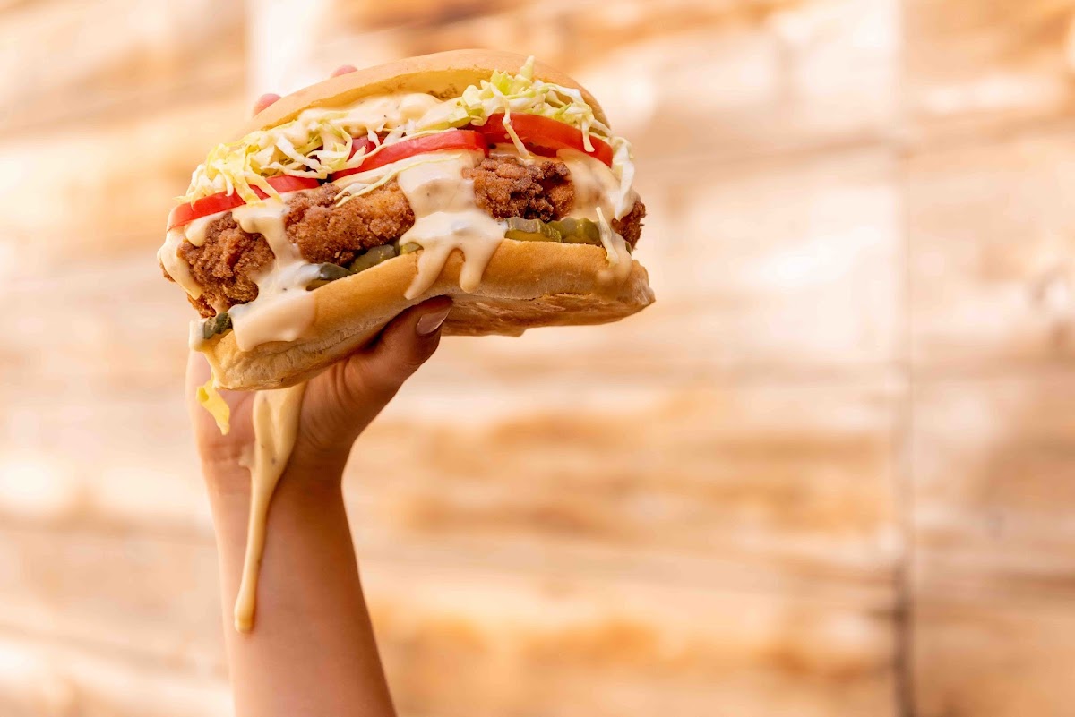 Starbird Chicken Photos 9