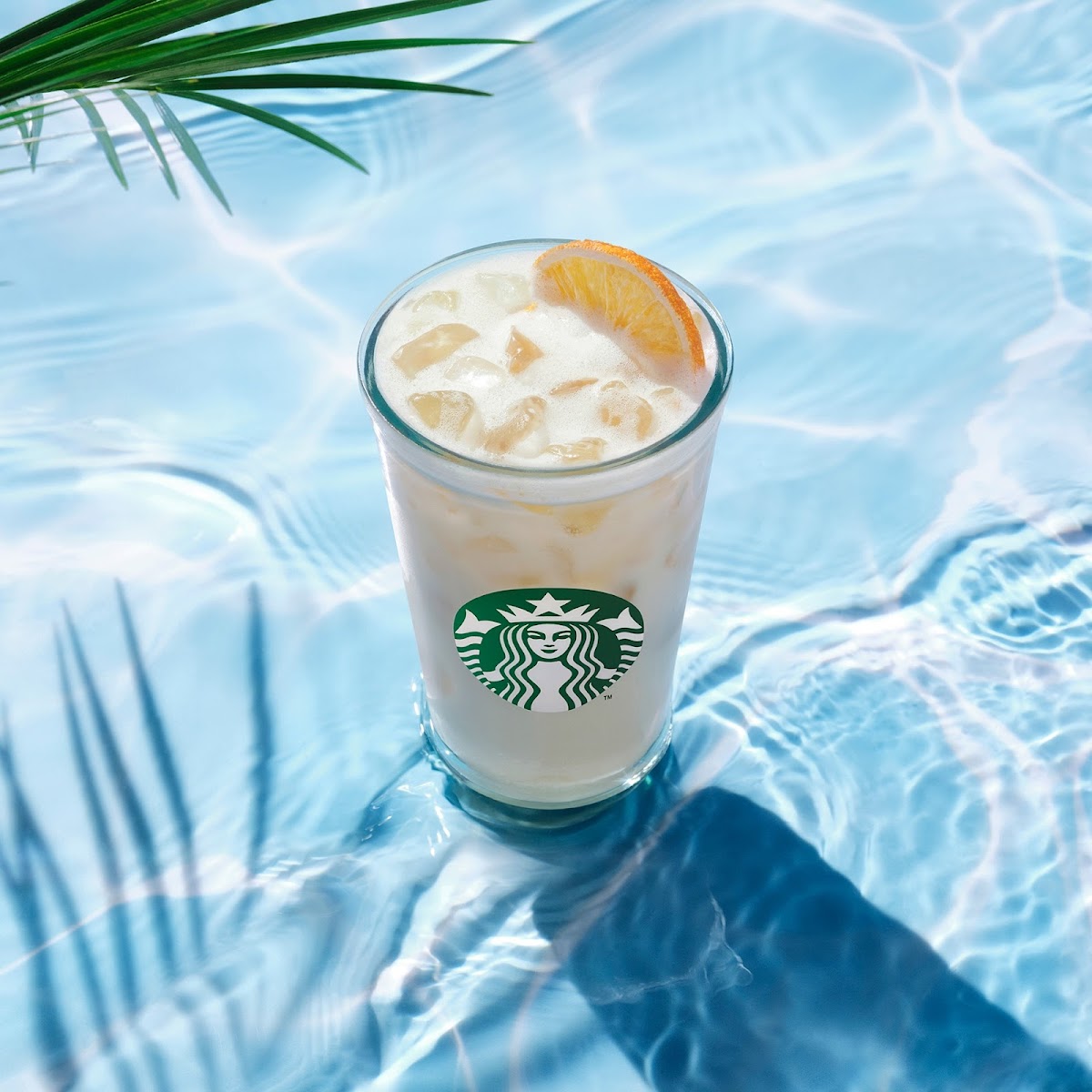 Starbucks Pau Centre-Ville Photos 9