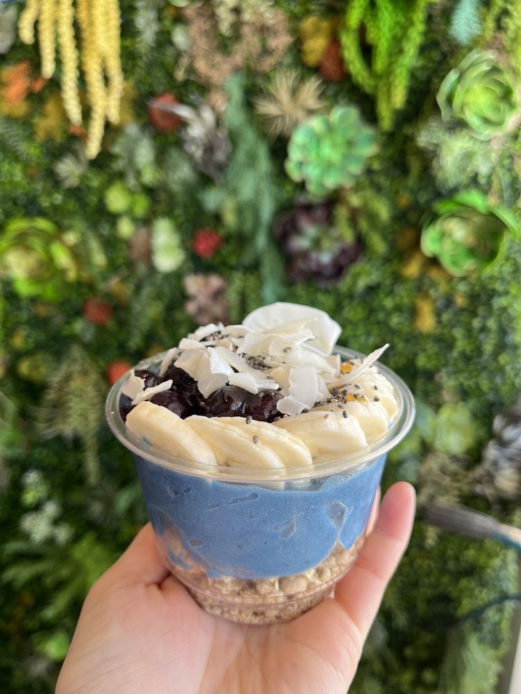 Sunbliss Cafe - Newport Beach Photos 2