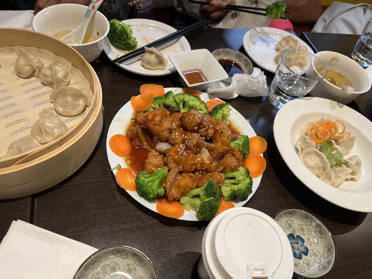 Sunshine Dumpling House Photos 2
