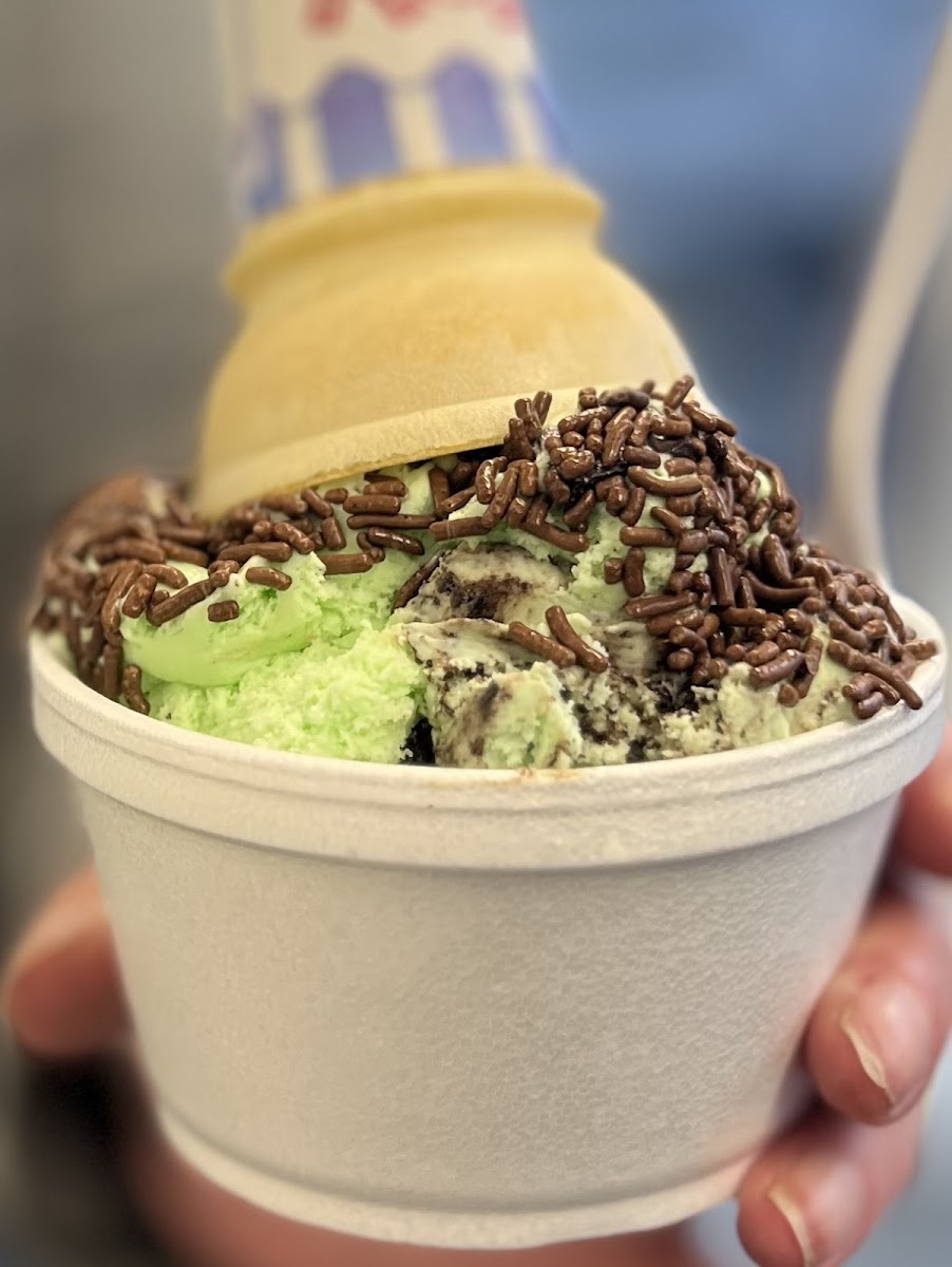 Sunshine Sundaes Photos 2