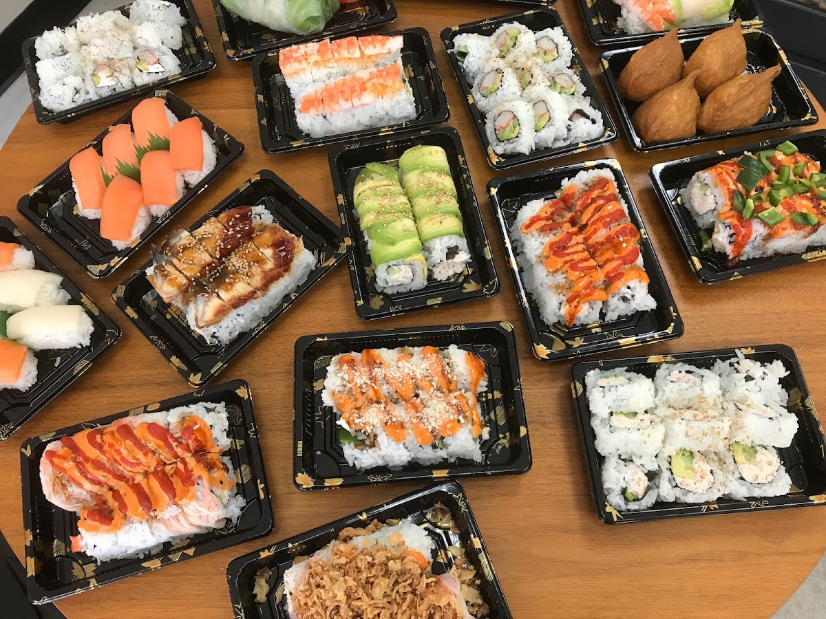 Sushi Go Photos 2