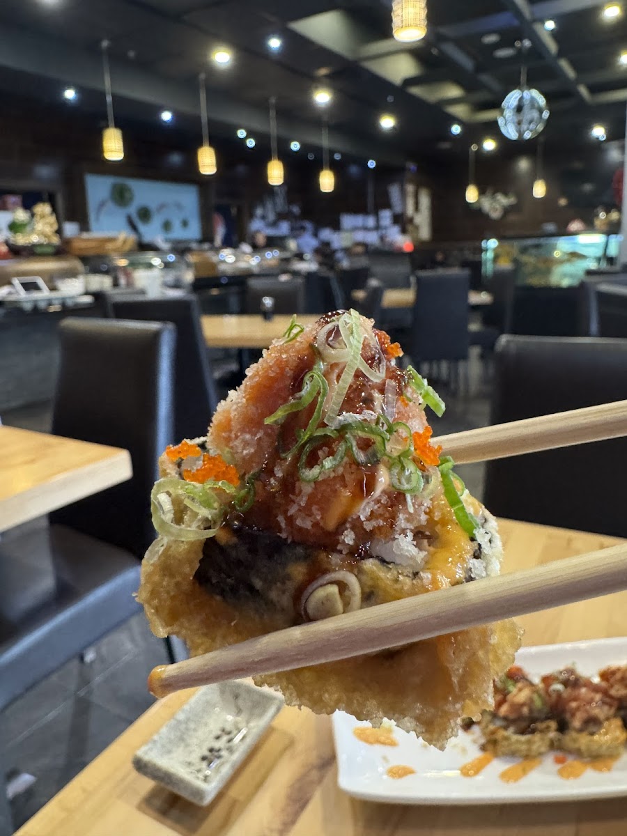 Sushi Lover Photos 9