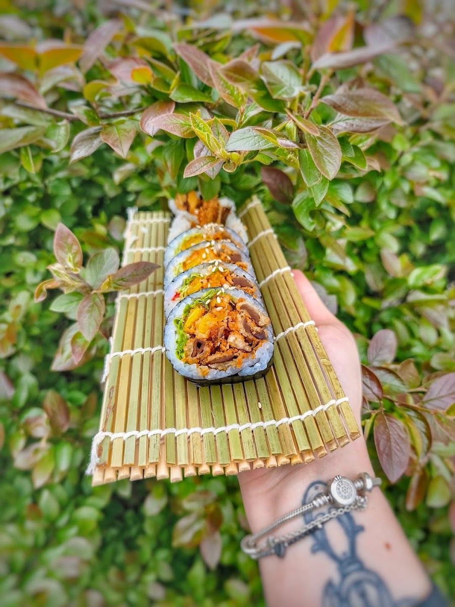 Sushi Ursus Photos 2