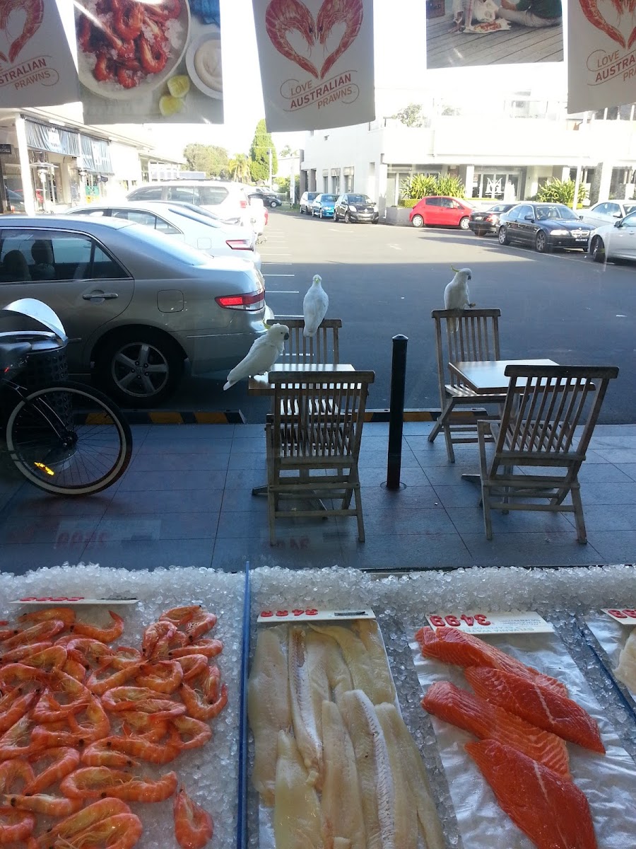 Sylvania Waters Seafood