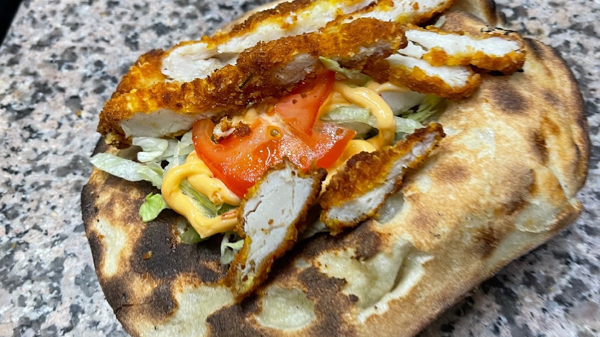 Taco Naan Photos 2