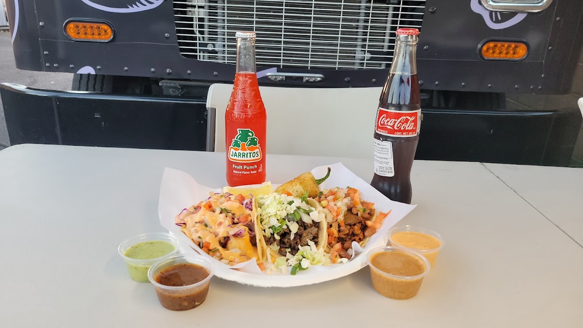 Taco Pinto Food Truck Photos 9