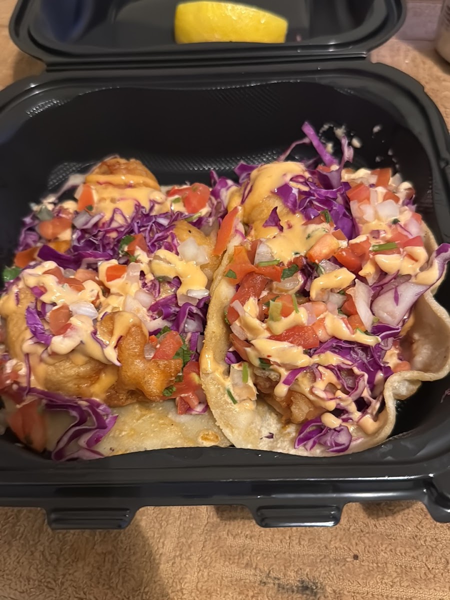 Taco Pinto Food Truck Photos 2