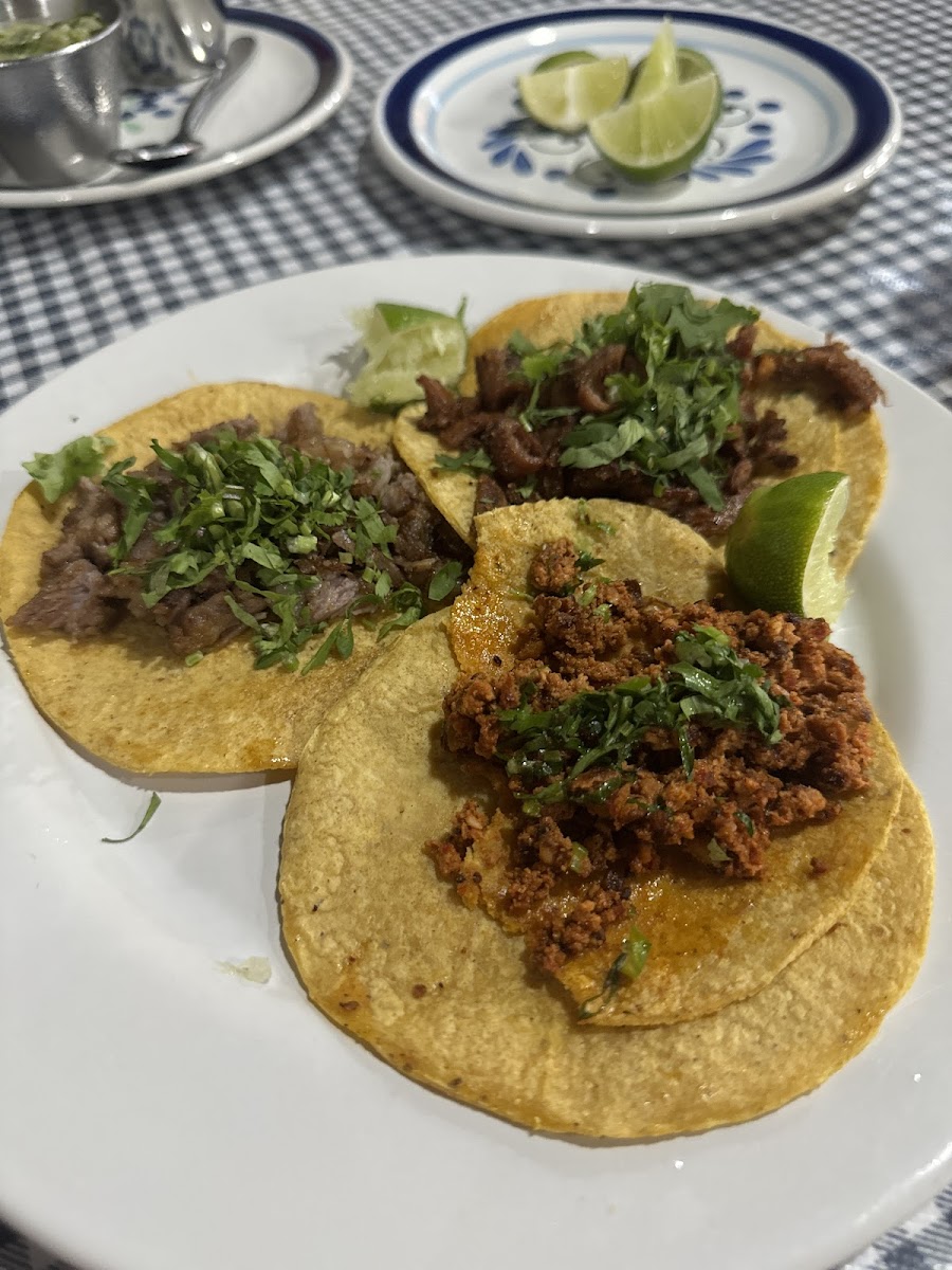 Taco Taco Photos 2