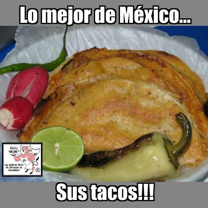 Tacos Benny Photos 2