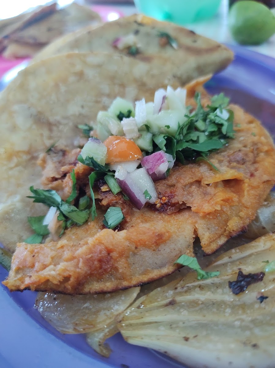 Tacos De Barbacoa Bertha Photos 9