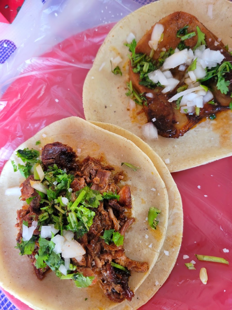 Tacos De Barbacoa El Viejito E Hijos Photos 2