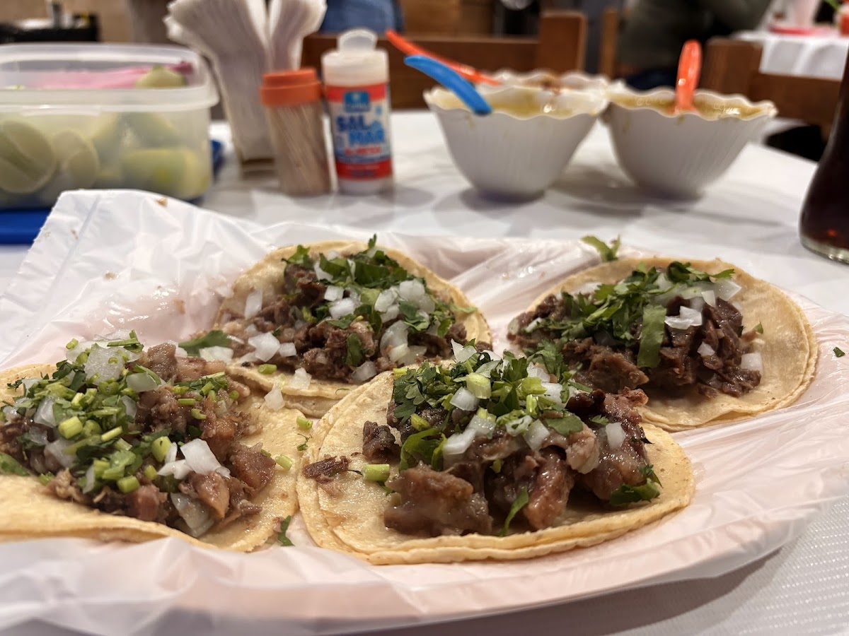 Tacos Moma Photos 2