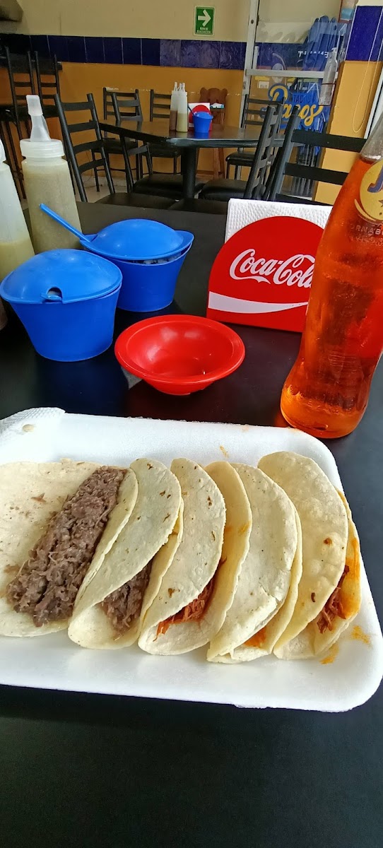 Tacos Pacos Photos 9