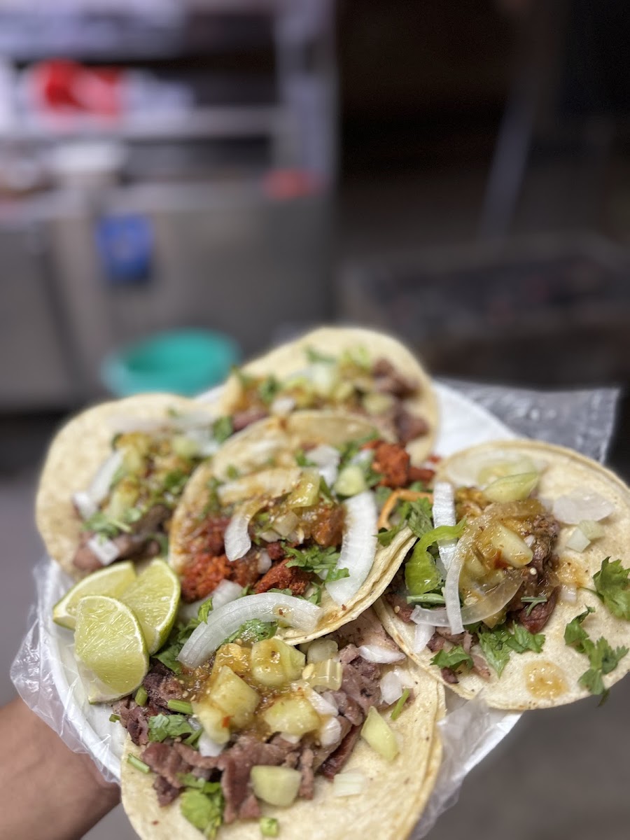 Tacos Yakuza Photos 2