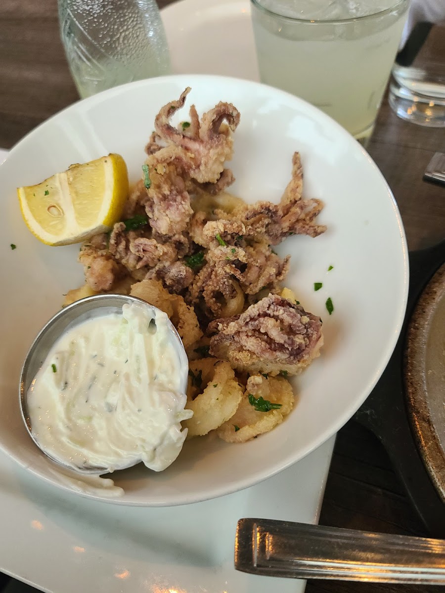 Taki's Greek Kitchen Photos 9