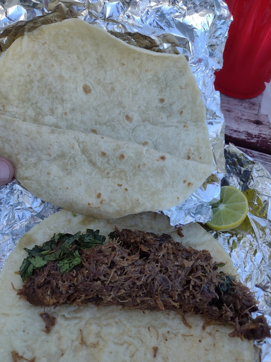Tania's Taqueria Photos 9
