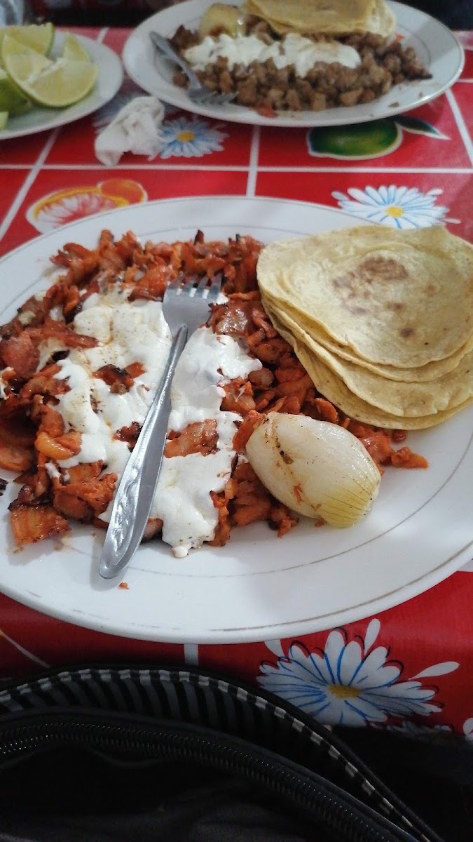 Taquería Guacamayas Photos 9