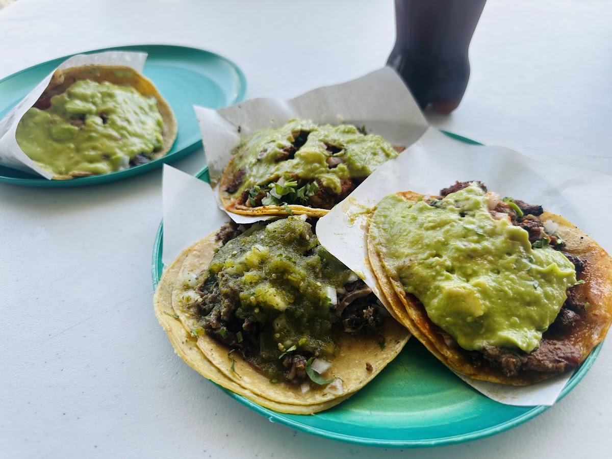 Taquería La Güerita Photos 2