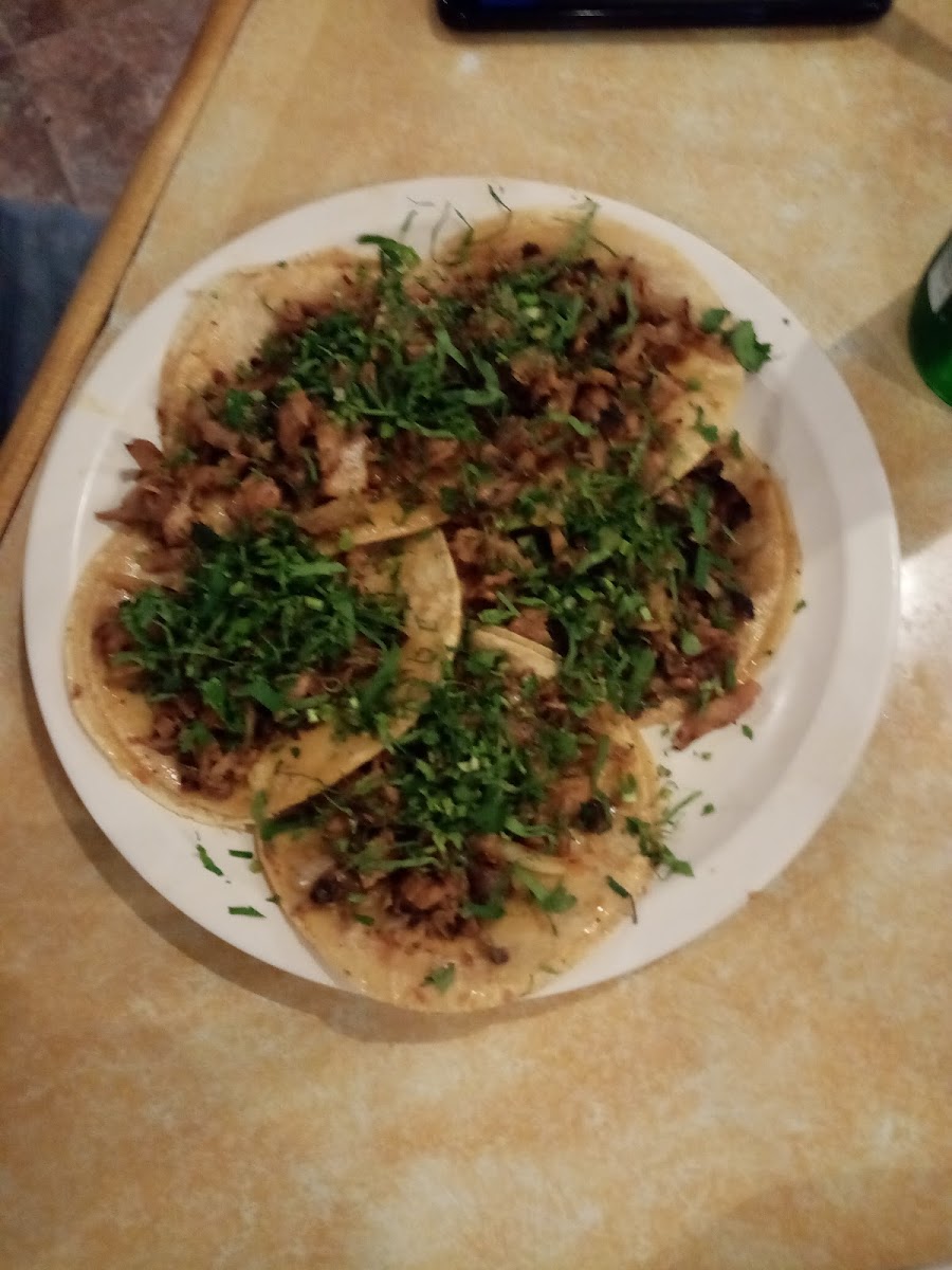 Taquería La Única Photos 9