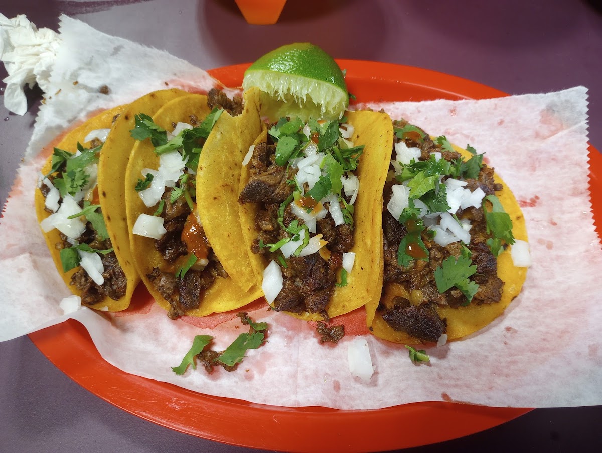 Taqueria Nuevo Mexico Photos 2