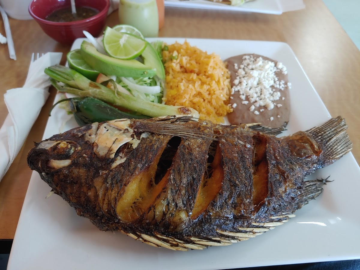 Taqueria Omar Photos 2