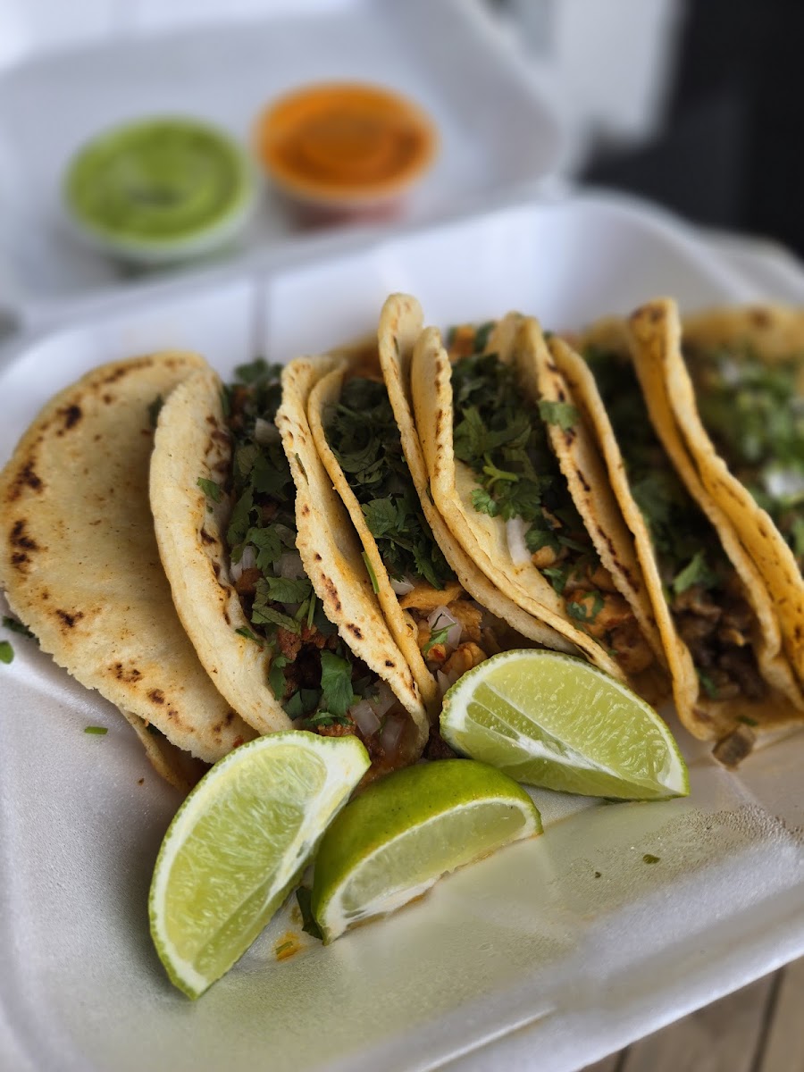 Taqueria Torres