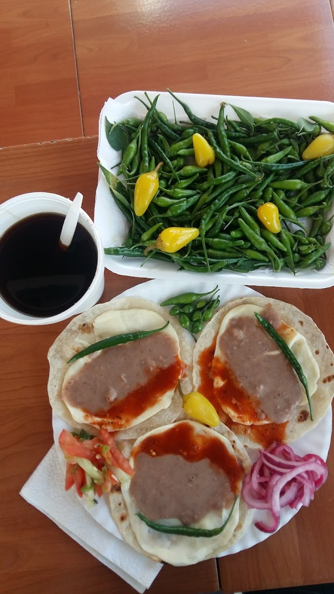 Taquerías Pacheco Photos 2