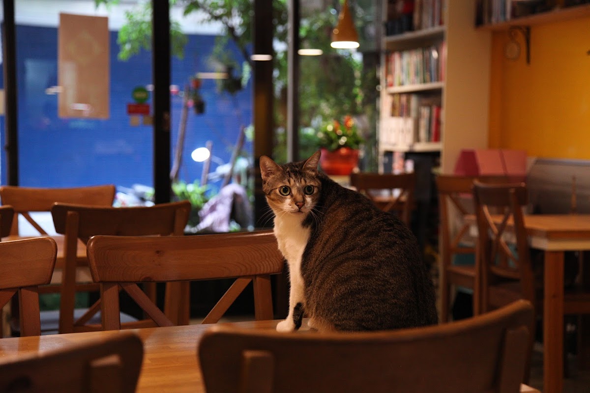 Taste Cafe
