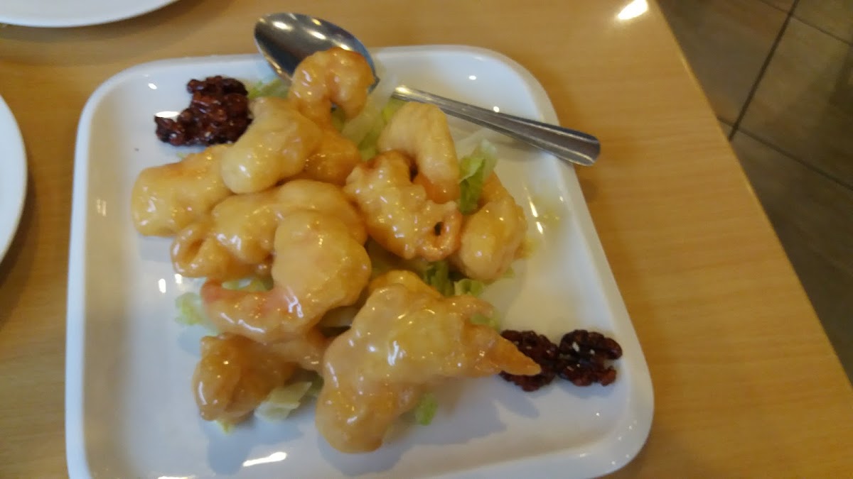 Tasty Chinese Restaurant Photos 9
