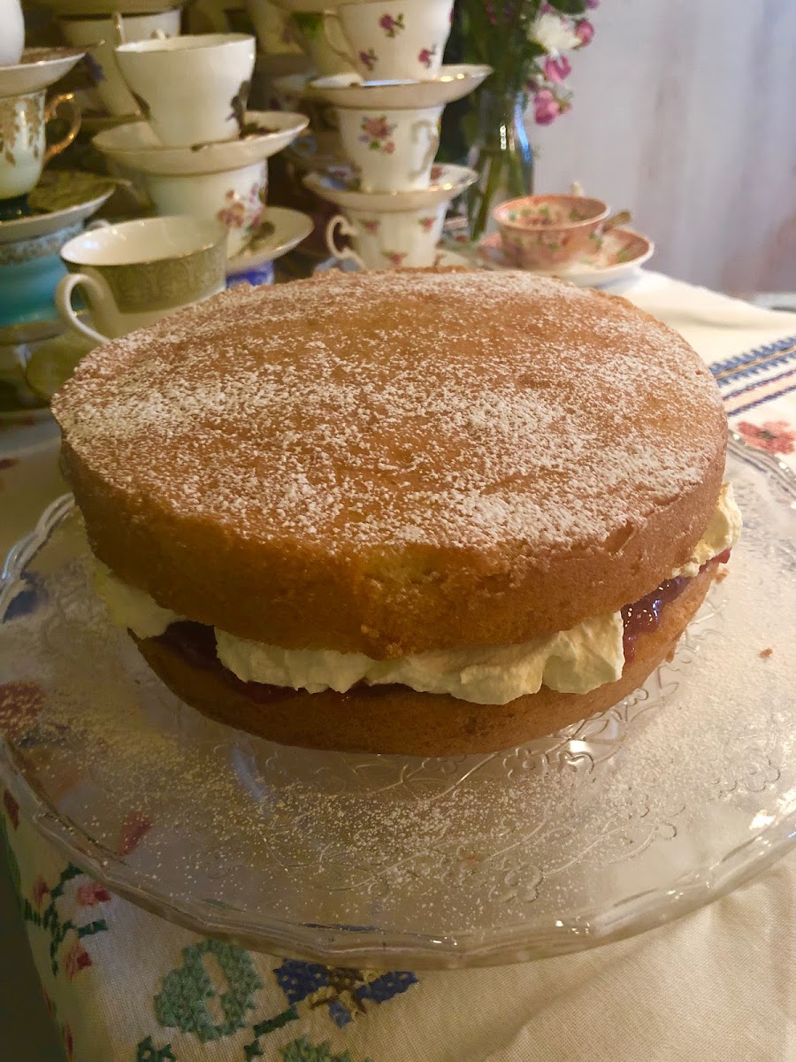 Tea Darling | Acton Photos 9