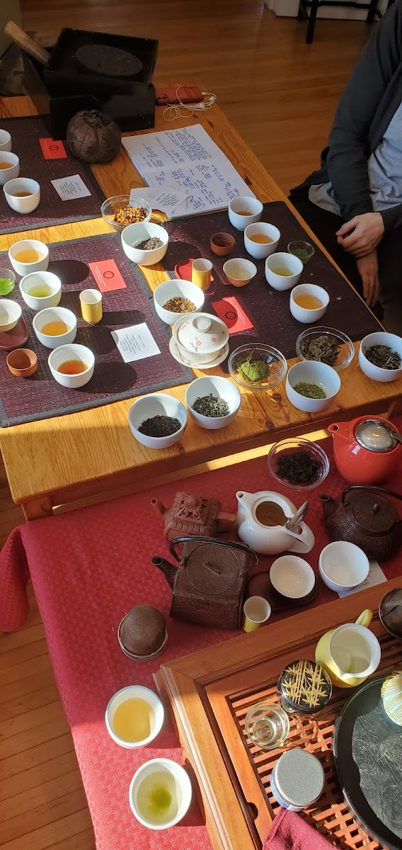 Tea Leaves Photos 2