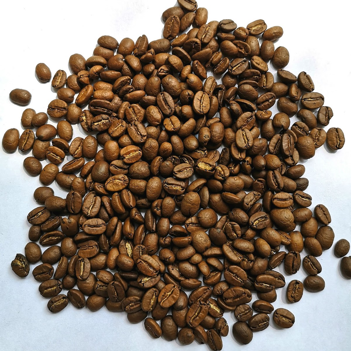 The Coffee Factory Photos 2