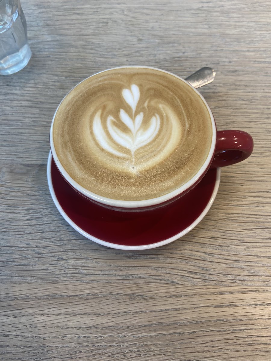 The Daily Dose Cafe Photos 2
