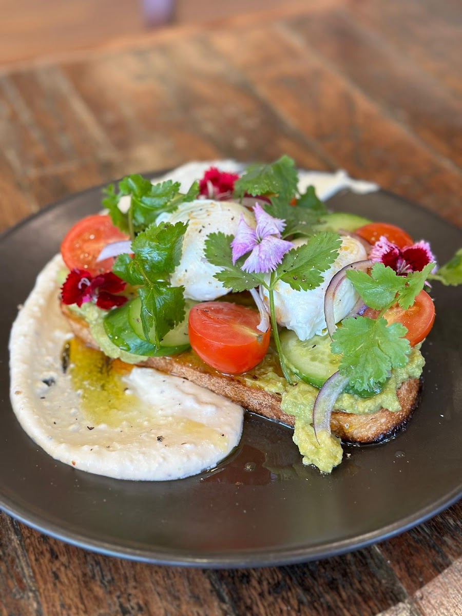 The Front Gallery & Cafe Photos 2