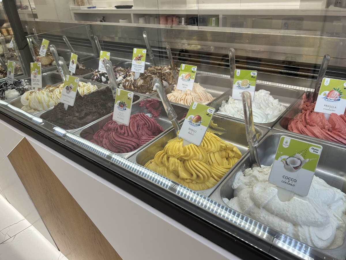 The Gelatist Trevi Photos 2