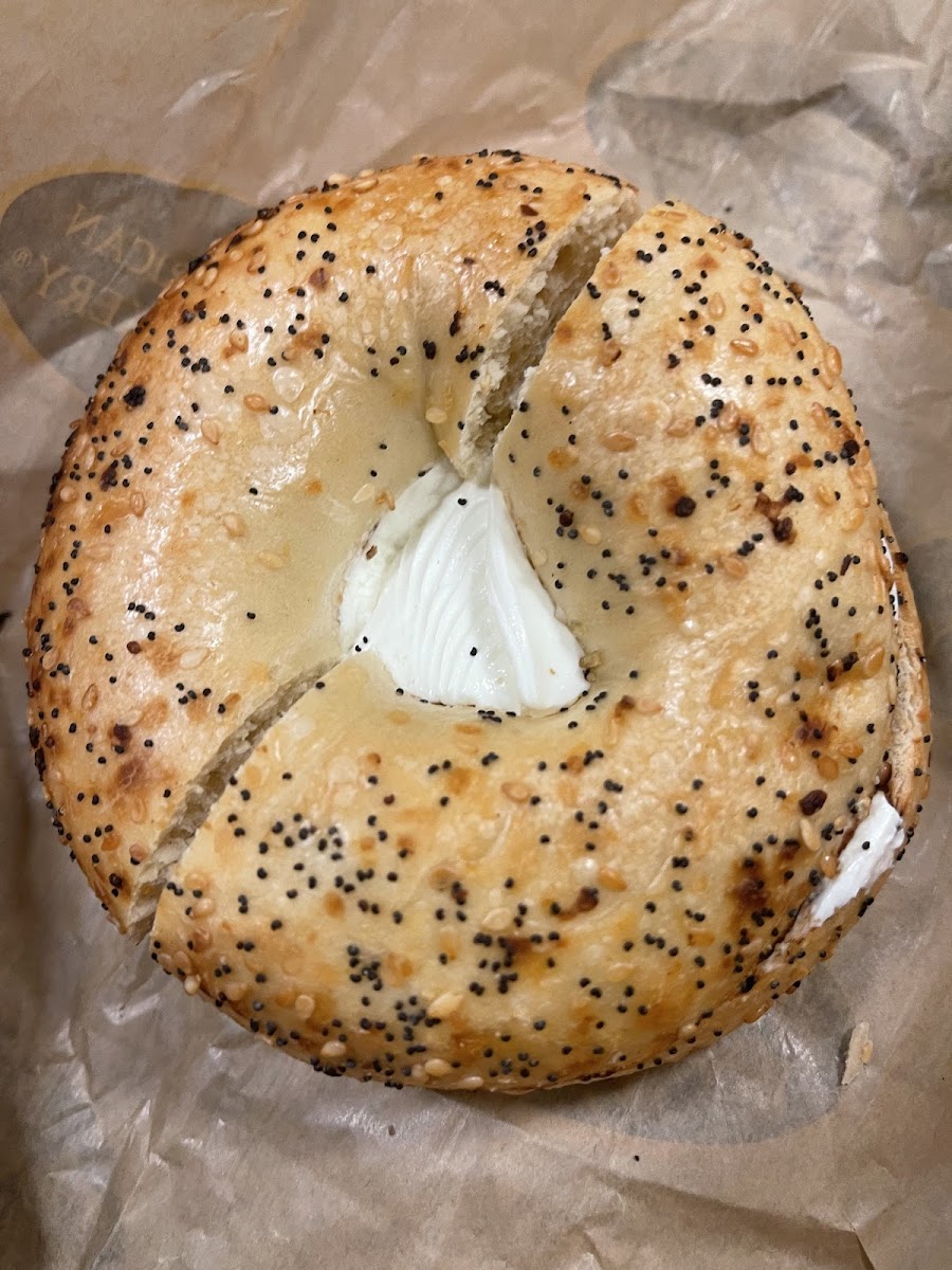 The Great American Bagel Bakery Photos 9