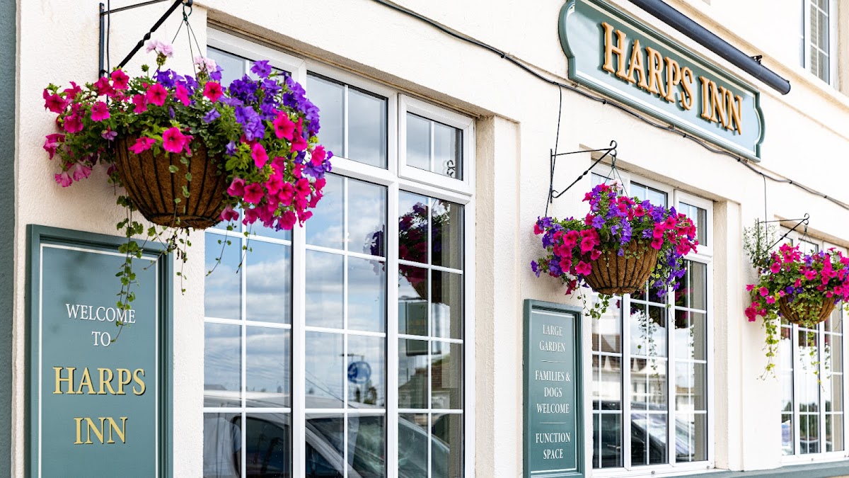 The Harps Inn