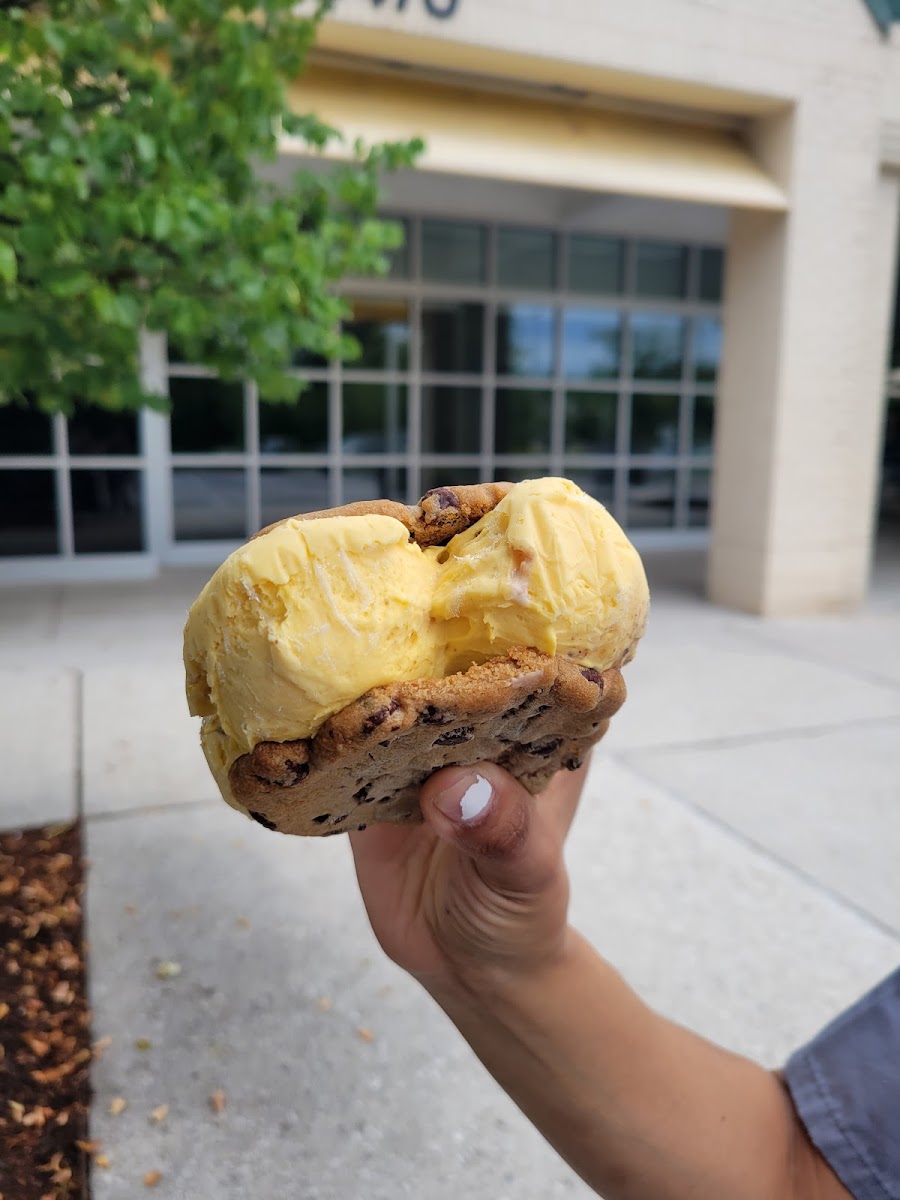 The Meadows Original Frozen Custard Photos 9