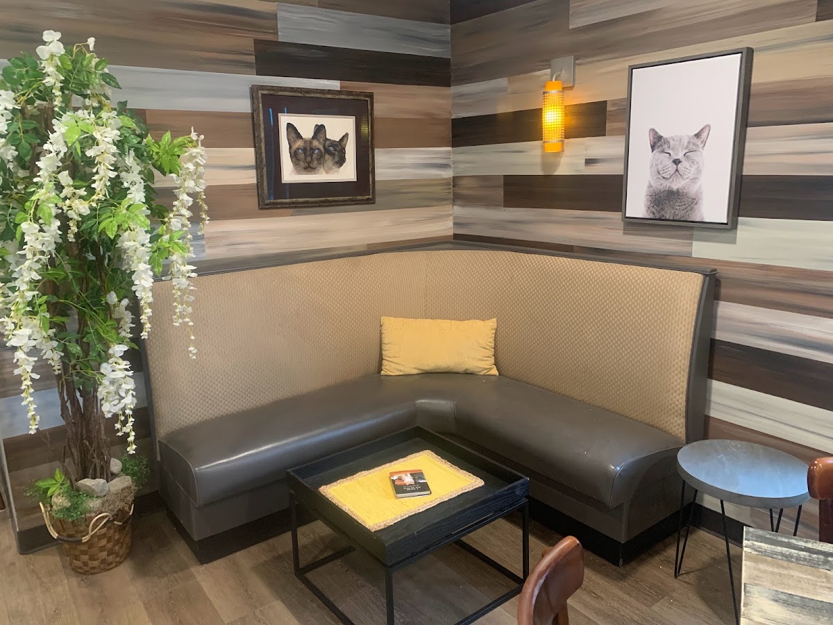 The Region Cat Cafe