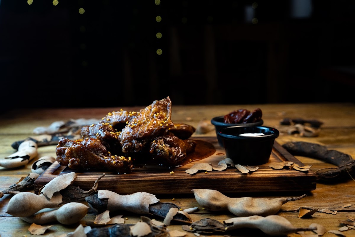The Wings House Photos 2