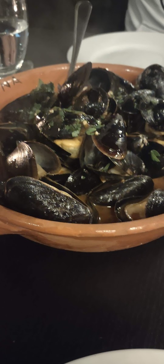 Tigo Trattoria Woodbridge Photos 9