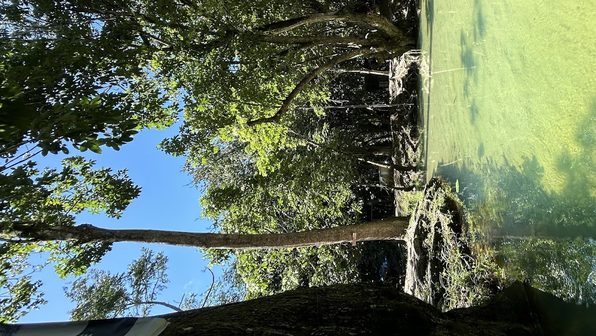 Trilha Da Natureza Restaurante E Camping