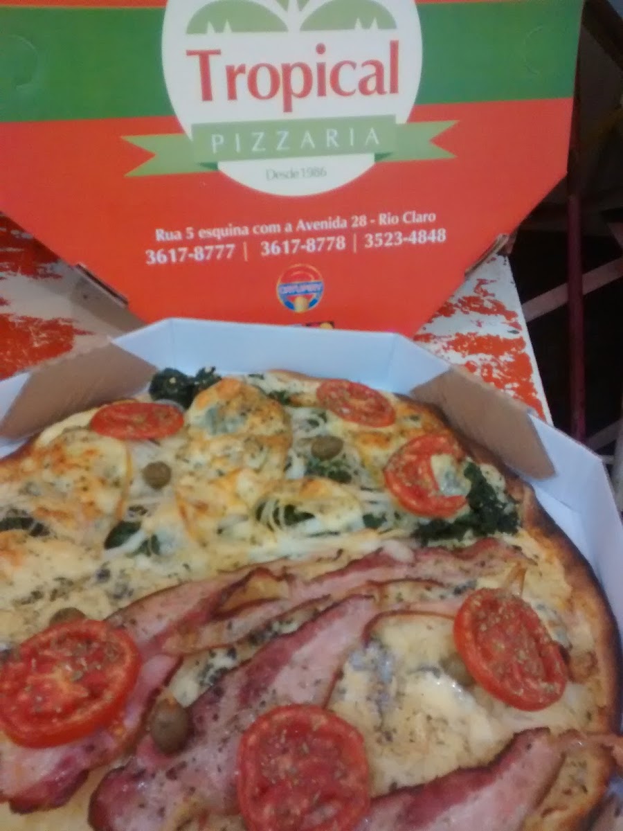 Tropical Pizzaria Photos 2