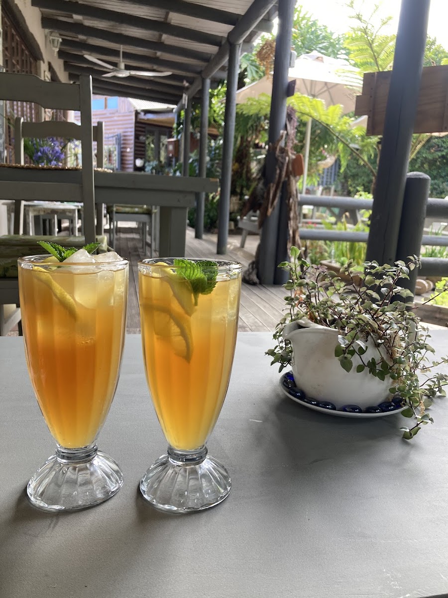 Tsitsikamma Gardens Self-Catering Cottages & Tilly's Restaurant Photos 9