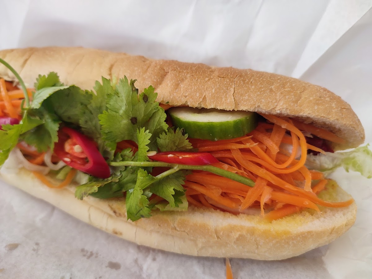 Tt Baguette Photos 9